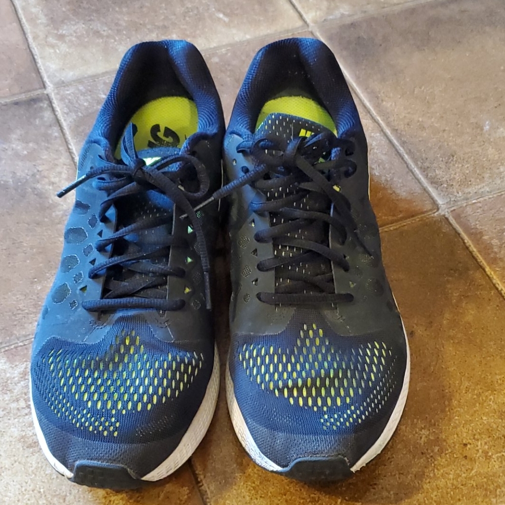 Nike Pegasus 31 running shoes